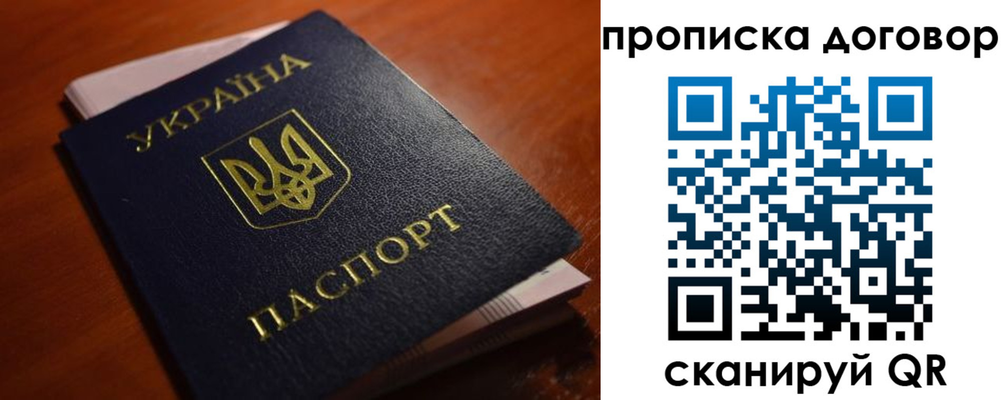 прописка законно в Завитинске
